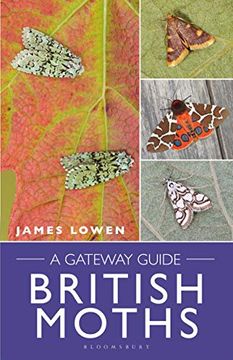 portada British Moths: A Gateway Guide (en Inglés)