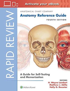 portada Rapid Review: Anatomy Reference Guide: A Guide for Self-Testing and Memorization (en Inglés)