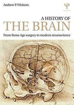 portada A History Of The Brain: From Stone Age Surgery To Modern Neuroscience (en Inglés)