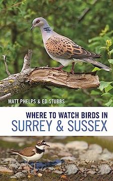 portada Where to Watch Birds in Surrey and Sussex (en Inglés)