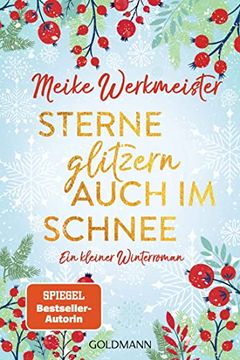 portada Sterne Glitzern Auch im Schnee: Ein Kleiner Winterroman (en Alemán)
