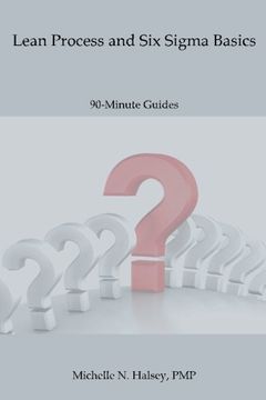 portada Lean Process and Six Sigma Basics: Volume 22 (90-Minute Guide)