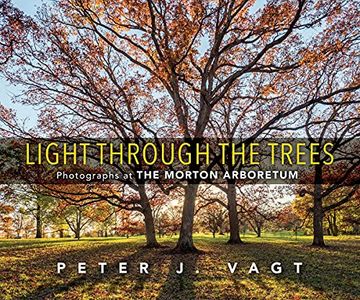 portada Light Through the Trees: Photographs at the Morton Arboretum (en Inglés)