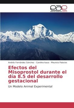 portada Efectos del Misoprostol Durante el día 8. 5 del Desarrollo Gestacional: Un Modelo Animal Experimental (in Spanish)
