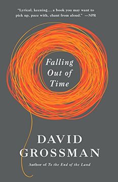 portada Falling out of Time (Vintage International) 