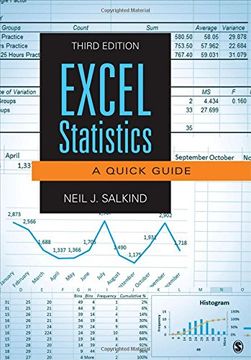 portada Excel Statistics: A Quick Guide (en Inglés)