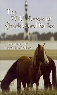 portada The Wild Horses of Shackleford Banks (en Inglés)