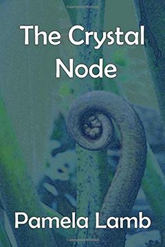 portada The Crystal Node (in English)