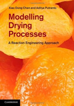 portada Modelling Drying Processes: A Reaction Engineering Approach (in English)