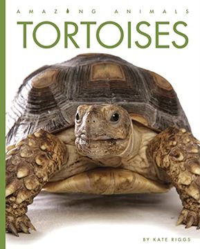 portada Tortoises (Amazing Animals) (en Inglés)