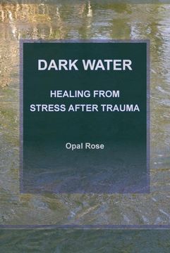 portada Dark Water: Healing From Stress After Trauma (en Inglés)