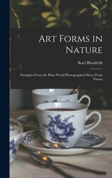 portada Art Forms in Nature: Examples From the Plant World Photographed Direct From Nature (en Inglés)