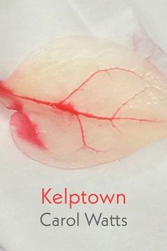 portada Kelptown 