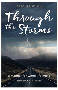 portada Through the Storms: A Manual for When Life Hurts (en Inglés)