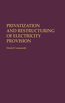 portada Privatization and Restructuring of Electricity Provision (en Inglés)