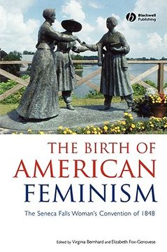 portada the birth of american feminism: "ragged dick" and "tattered tom" (in English)