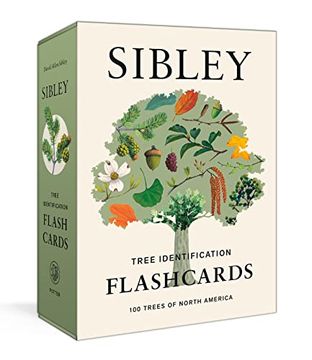 portada Sibley Tree Identification Flashcards: 100 Trees of North America (en Inglés)