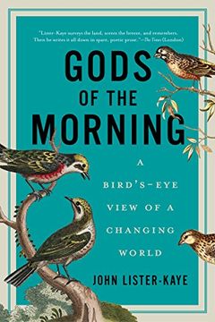 portada Gods of the Morning: A Bird's-Eye View of a Changing World