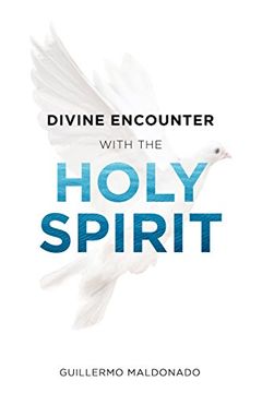 portada Divine Encounter with the Holy Spirit (en Inglés)