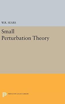 portada Small Perturbation Theory (en Inglés)