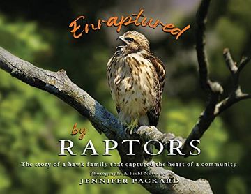 portada Enraptured by Raptors: The Story of a Hawk Family That Captured the Heart of a Community (en Inglés)