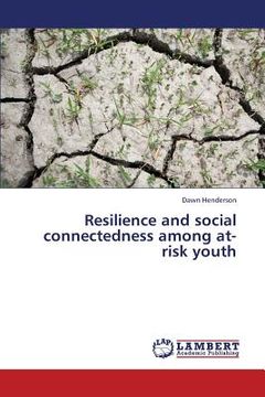 portada resilience and social connectedness among at-risk youth (en Inglés)