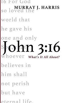 portada John 3: 16: What's it all About? (in English)