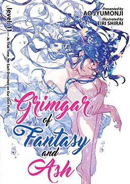 portada Grimgar of Fantasy & ash Light Novel 11 (Grimgar of Fantasy and ash (Light Novel), 11) 