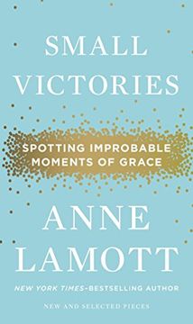 portada Small Victories: Spotting Improbable Moments of Grace (en Inglés)