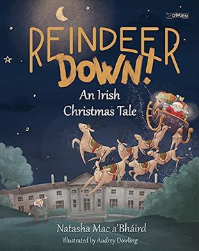 portada Reindeer Down!: An Irish Christmas Tale (en Inglés)