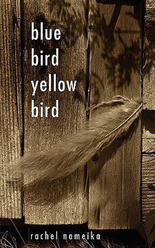 portada blue bird yellow bird (en Inglés)