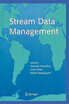 portada stream data management (en Inglés)