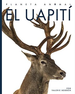portada El Uapití (Planeta Animal) (in English)