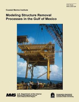 portada Modeling Structure Removal Processes in the Gulf of Mexico (in English)