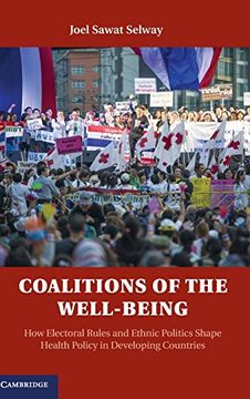 portada Coalitions of the Well-Being: How Electoral Rules and Ethnic Politics Shape Health Policy in Developing Countries (en Inglés)