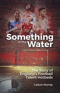 portada Something in the Water: The Story of England's Football Talent Hotbeds (en Inglés)