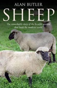 portada Sheep (en Inglés)