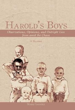 portada harold's boys: observations, opinions, and outright lies from amid the chaos (en Inglés)