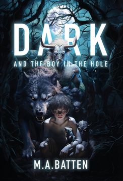 portada Dark: And the Boy in the Hole (en Inglés)