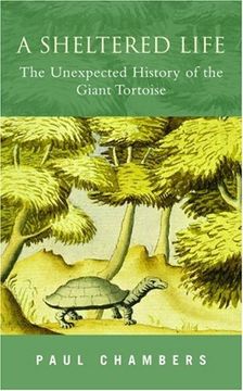 portada A Sheltered Life: The Unexpected History of the Giant Tortoise 