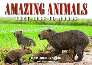portada Amazing Animals: That Like to Nurse (en Inglés)