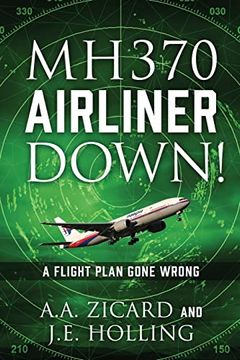 portada Mh370 Airliner Down! A Flight Plan Gone Wrong (en Inglés)