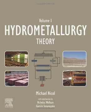 portada Hydrometallurgy: Theory (en Inglés)