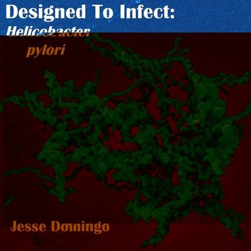 portada Designed to Infect: Helicbacter pylori (en Inglés)