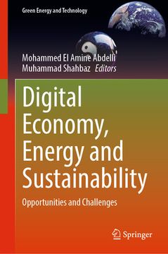 portada Digital Economy, Energy and Sustainability: Opportunities and Challenges (en Inglés)