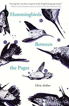 portada Hummingbirds Between the Pages (21St Century Essays) (en Inglés)