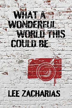 portada What a Wonderful World This Could be (in English)