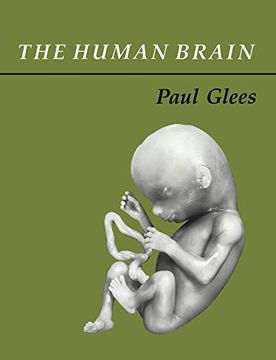 portada The Human Brain (en Inglés)