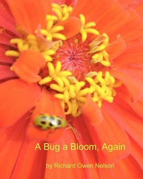 portada a bug a bloom, again (in English)
