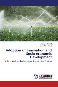 portada Adoption of Innovation and Socio-Economic Development